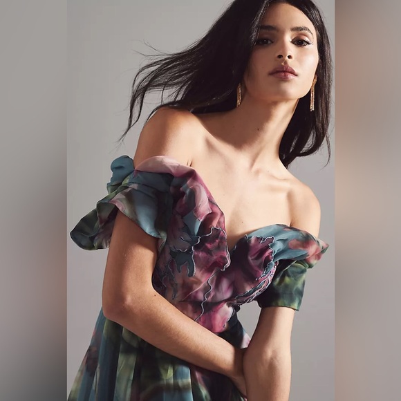 New Geisha Designs x Anthropologie Off-The-Shoulder Floral Appliqué Dress sz XS - Picture 4 of 12